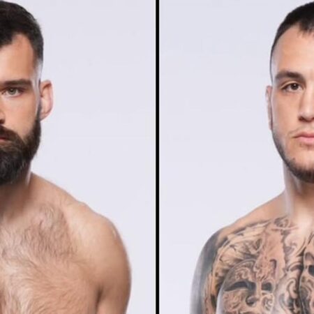 UFC Fight Night 253: Хаqпараст против Рибовича — ставки и прогноз