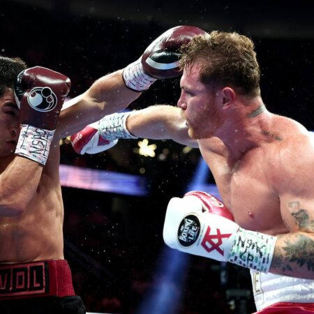 Дмитрий Бивол сравнил силу ударов Бетербиева и Канело