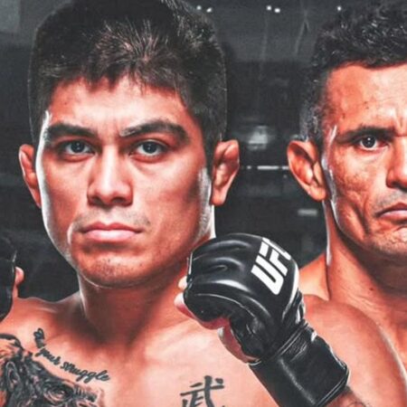 UFC Fight Night 253: Прогноз на бой Сильва против Алмейды