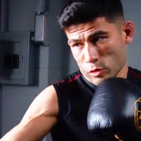 UFC Fight Night 253: Амиль против Гомиса — Прогноз