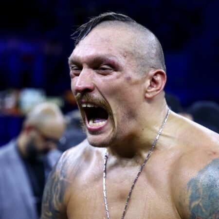 Шон Портер высоко оценил боксерские навыки Александра Усика