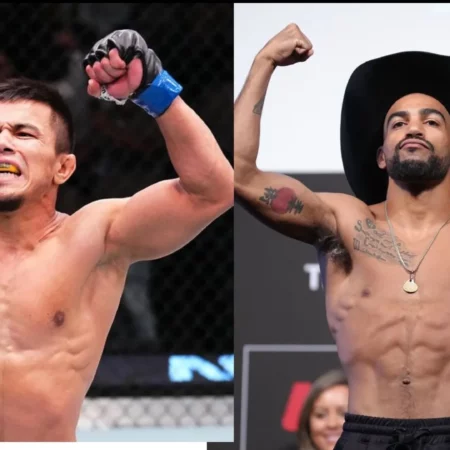 UFC Fight Night 253: Джонсон против Темирова — Прогнозы и коэффициенты