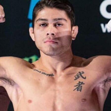 Бой UFC Fight Night 253: Сильва де Андраде против Кастанеды