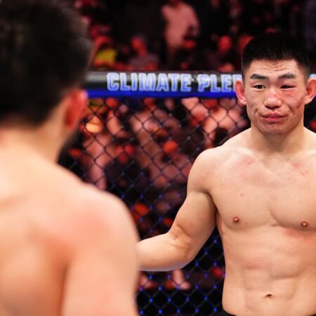 UFC Fight Night 253: Андреа Ли против Джей Джей Олдрич — Прогноз боя