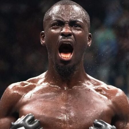 UFC Fight Night 253: Брундаж против Маркеса