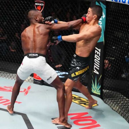 Мокаев раскритиковал Кейпа после его боя с Алмабаевым