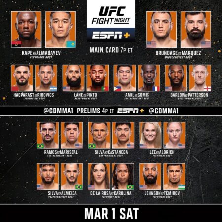 UFC Fight Night 253