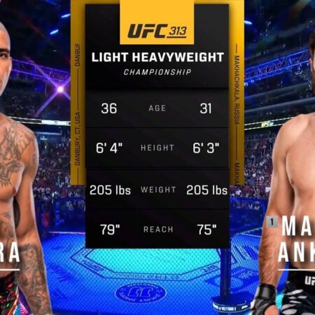 UFC 313: Перейра против Анкалаева