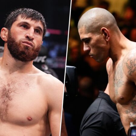 Алекс Перейра: «Борьба Анкалаева? Мы готовы ко всему»