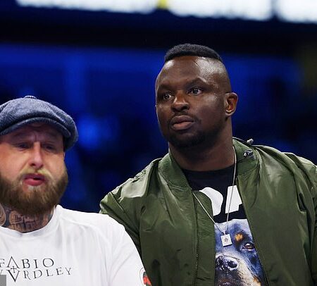 Диллиан Уайт Снялся с Боя против Джо Джойса: «Я Расстроен»