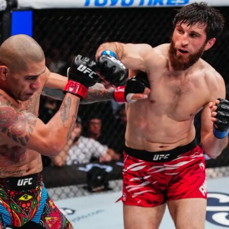 Биспинг назвал причину поражения Перейры Анкалаеву