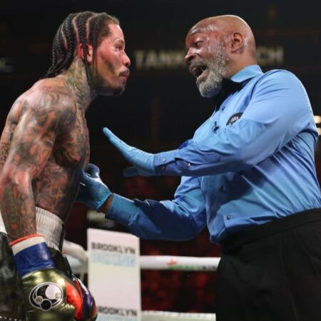 Боксерская комиссия удивлена решением по бою Дэвис-Роуч: "Мы никогда такого не видели"