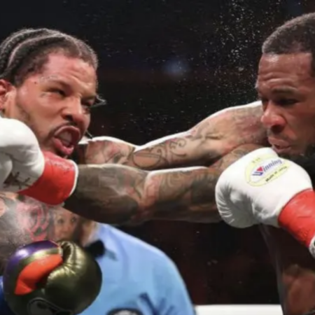 Решение комиссии по бою Джервонты Дэвиса остается без изменений