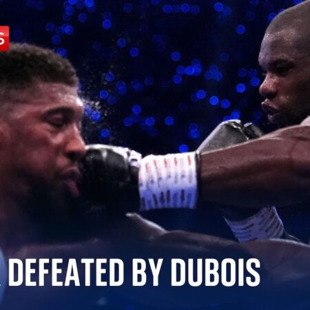 Рой Джонс-младший назвал неожиданного фаворита в реванше Джошуа-Дюбуа