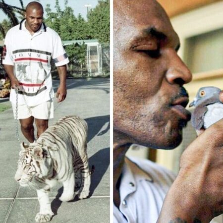 Майк Тайсон раскрыл, какого бойца он боялся: "Я не собирался связываться с этим животным"