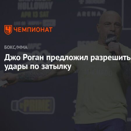 Джо Роган предлагает разрешить удары в затылок