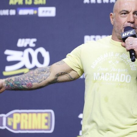 Джо Роган предлагает проводить бои на баскетбольном корте