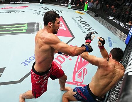 Александр Волкановски вернул титул и другие результаты UFC 314