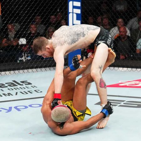 Результаты турнира UFC on ESPN 67
