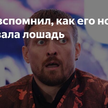 Усик вспомнил, как его нокаутировала лошадь