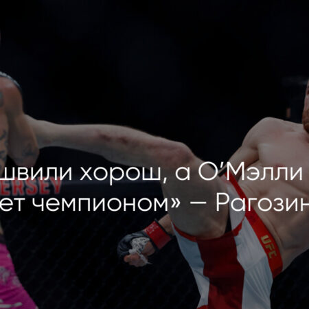 Мераб Двалишвили отметил силу Стерлинга