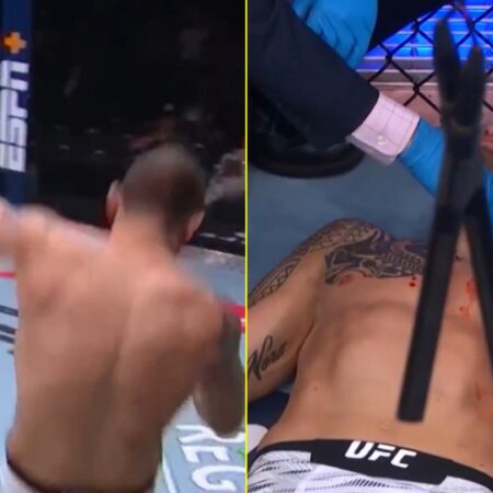 Бой Джек Херманссон vs Грегори Родригес на UFC 317