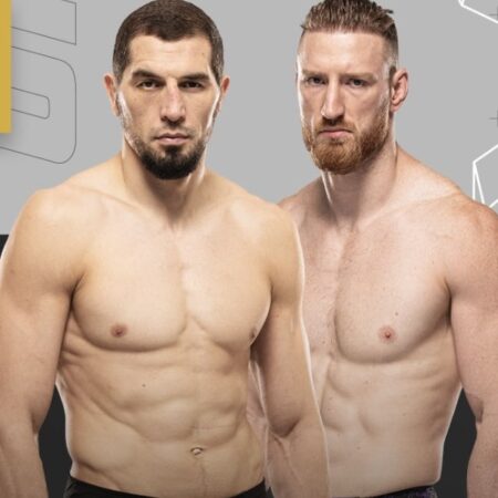 Абусупьян Магомедов против Джо Пайфера: Прогноз и коэффициенты UFC 320