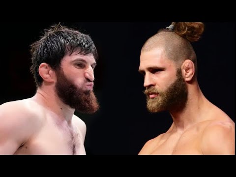 Прохазка может стать следующим соперником Анкалаева