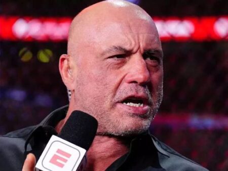 Роган назвал главного проспекта UFC