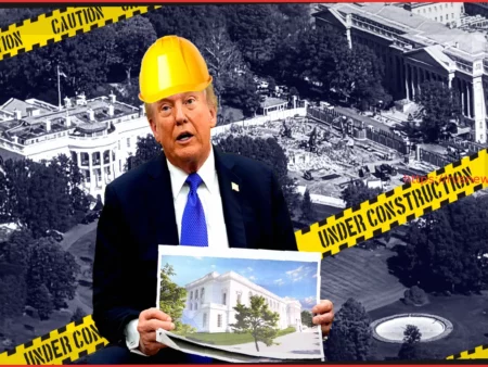 МЮ планирует амбициозный трансфер: Цель – Сандро Тонали из Ньюкасла за £86 млн